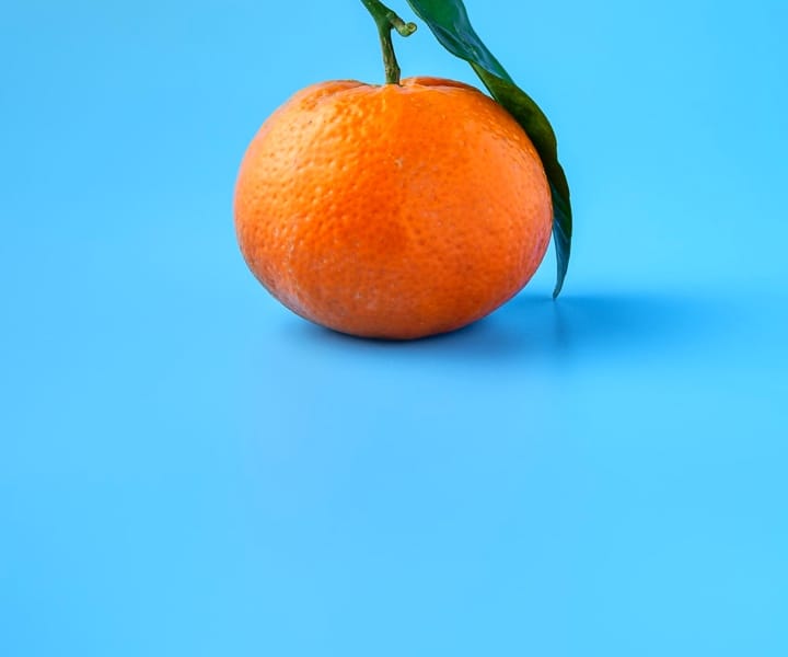 a fruit